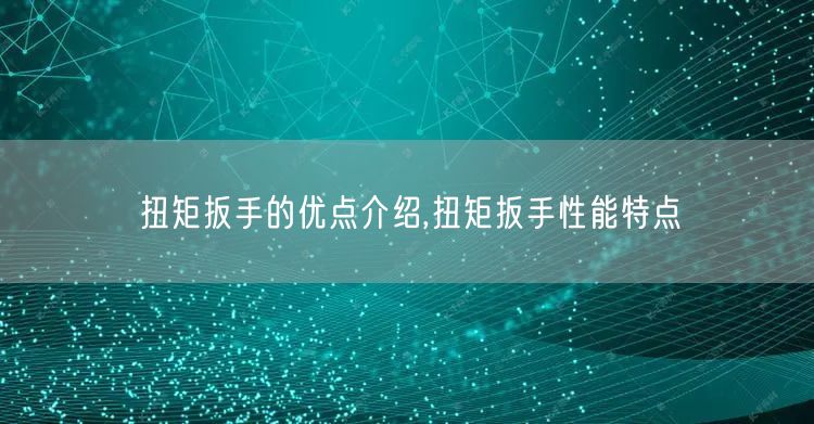 扭矩扳手的优点介绍,扭矩扳手性能特点(图1)