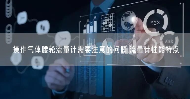 操作气体腰轮流量计需要注意的问题,流量计性能特点(图1)