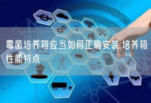 霉菌培养箱应当如何正确安装,培养箱性能特点(图1)