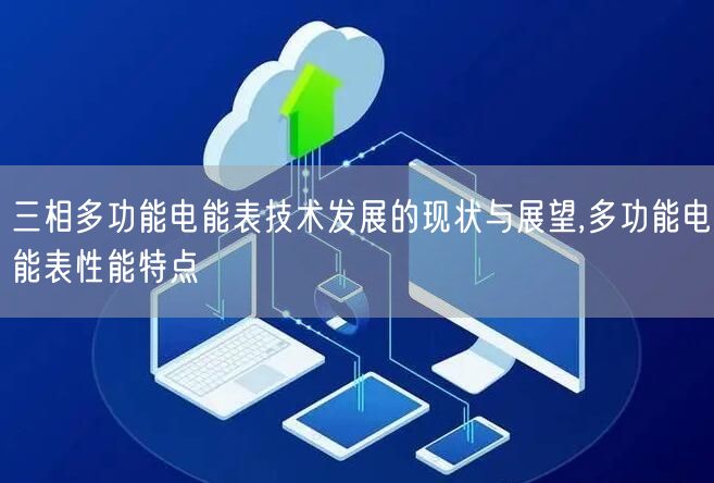 三相多功能电能表技术发展的现状与展望,多功能电能表性能特点(图1)