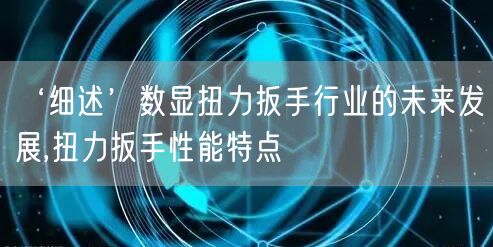 ‘细述’数显扭力扳手行业的未来发展,扭力扳手性能特点(图1)