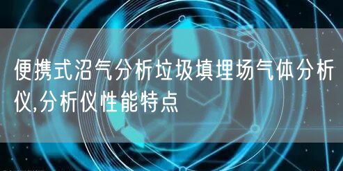 便携式沼气分析垃圾填埋场气体分析仪,分析仪性能特点(图1)