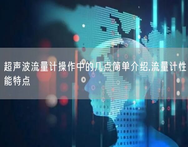 超声波流量计操作中的几点简单介绍,流量计性能特点(图1)