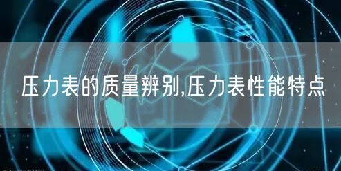 压力表的质量辨别,压力表性能特点(图1)