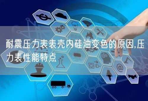 耐震压力表表壳内硅油变色的原因,压力表性能特点(图1)