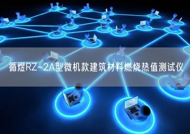 RZ-2A型微机款建筑材料燃烧热值测试仪(图1)